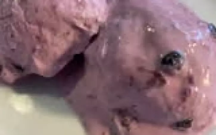 Borůvková low carb zmrzlina