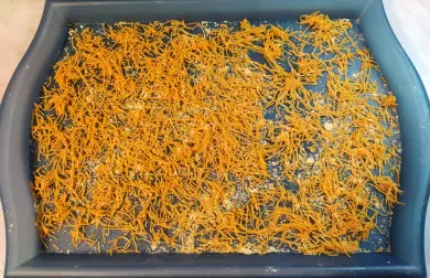 Nudle do polévky - LC