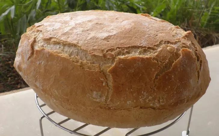 CHLÉB BEZ HNĚTENÍ