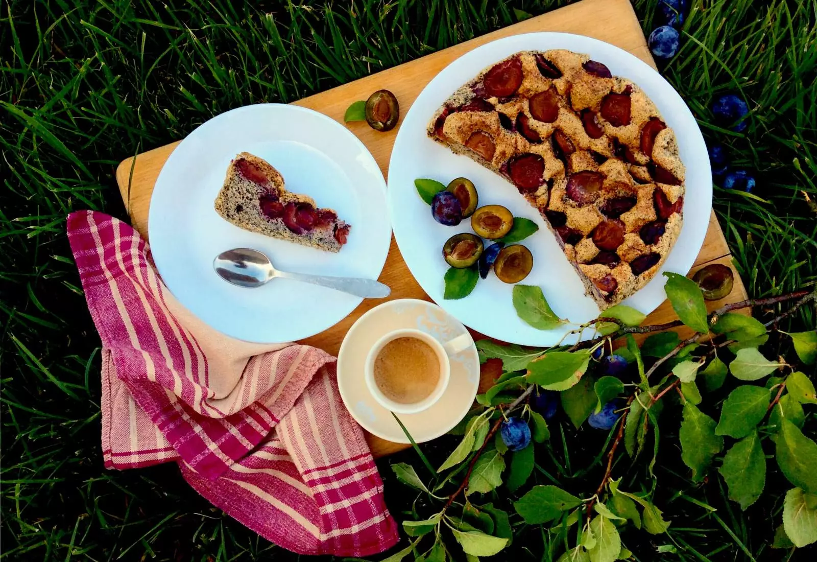 Makový piškotový koláč se švestkami