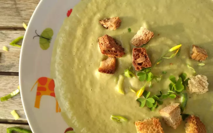 Krémová polévka ze zbylého salátu