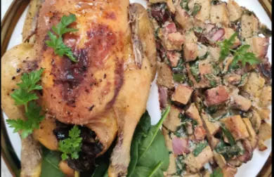 Jarní kuřátko s nádivkou