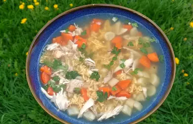 Kuřecí vývar s masem, zeleninou a nudlemi - LC