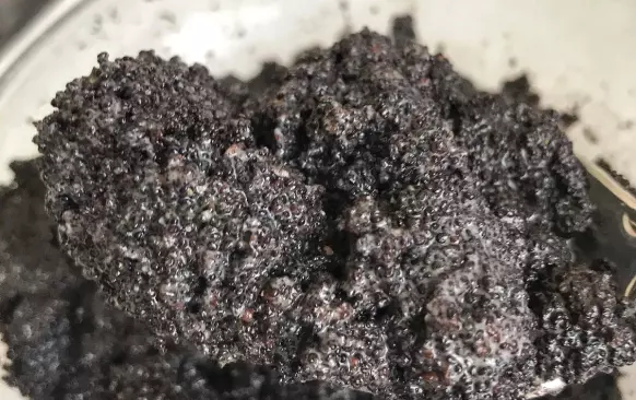 Mezitím si připravíme náplně. Do jedné misky dáme mletý mák, do druhé mleté vlašské ořechy (se skořicí). 
Smetanu ohříváme v kastrůlku. Až se začne vařit, vypneme a polovinu smetany nalijeme k máku a polovinu k ořechům. 
Obě směsi promícháme.